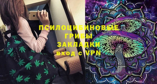 бошки Лабытнанги